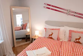 Chalet Suite · 3 BR Home near ETH & Uni - Image 4