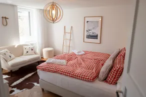 Chalet Suite · 3 BR Home near ETH & Uni - Image 3