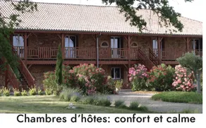 Vincent Van Gogh Apartment 80 m2 2 bedrooms - Image 4