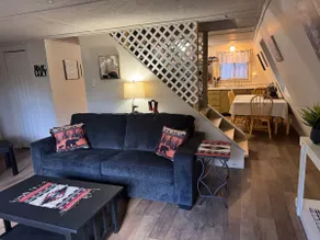Cozy Bear Den - Image 3