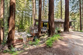 Forest hideaway | BBQ & pet-friendly - Image 3