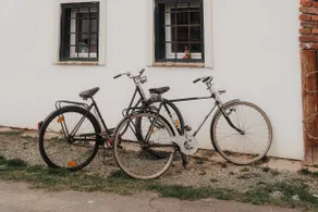 Südburgenland Vierkanthof - Image 3