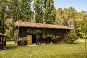 Family home in the middle of the forest with swimming pool - Image 5