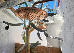 Heritage House · Views, Fruit Grove & Starlink - Image 3