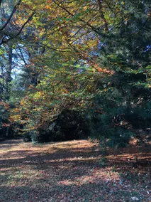 Romantic Escape at Pet-friendly Leddicott Cottage - Image 4