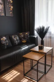 Euforia - Jacuzzi apartment Ukmergė - Image 2