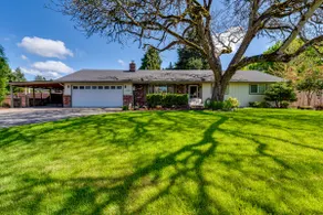The Backyard Retreat - Image 4