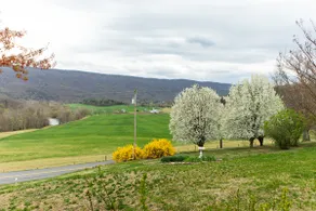 Teaberry Hill - “Million dollar view” - Image 3