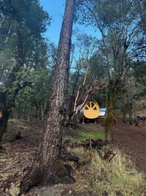 Luxe Glamping Cabin Near Big Basin State Park - Image 3