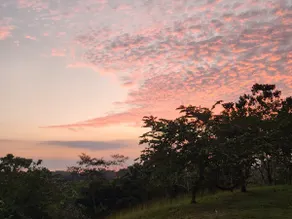 Badolina Montezuma – Jungle Views & Climbing - Image 3