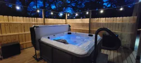 #4 Adorable Lake Cottage-Cypress Resort & Marine - Image 2