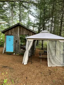 Artsy Pine Cabin in the Woods - Image 2
