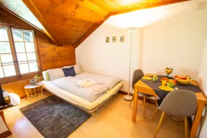 Bright & Cosy studio in the heart of Leysin - Image 3