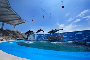 Sta 4 min｜Tax free mall, aquarium｜Private stay - Image 4