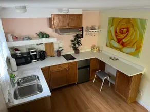 1 Bedroom Bachelor Suite - Image 3