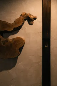 Huge house｜2 story｜Shinjuku 10min｜Free Wi-Fi - Image 4