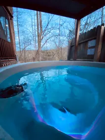 One Bedroom Cabin by the River - Image 3