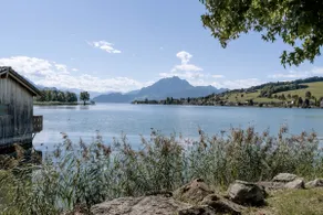 Lake Lucerne & Rigi | Family | Luzern | Hike | Ski - Image 5