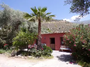 Los Olivos Viejos organic farm - Image 3