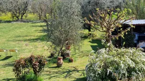 Casa Morena - Image 3