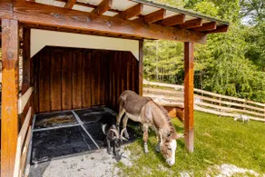 Farm Stay I Game Room | Hot Tub | Playground - Image 4