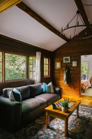 Spa Cabin with Sauna, Hot Tub and Cold Plunge - Image 5