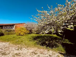 Beautiful Champagne house - Image 3