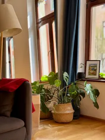 Cozy Apartment Great Location - Image 3