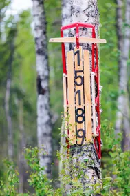 Chanterelle Chalet Near Downtown Talkeetna, AK - Image 2