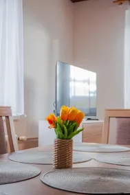 Accommodation at Vlada - Image 3