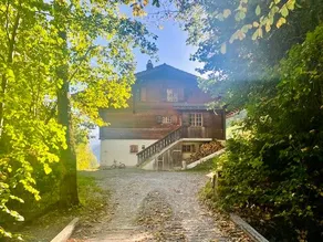 Chalet near Gstaad - Image 3