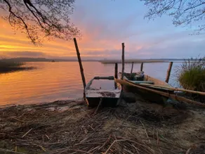 Large forest cottage by the lake, 15 min ocean - Image 4