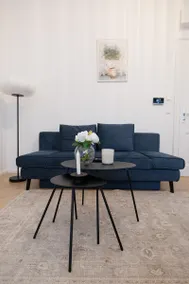 Stylish 1BR 1Bath Vienna Downtown Unbeatable Location - Image 2