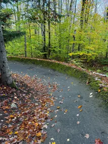 Spacious 4 bdr near Burke Bike Kingdom Trails - Image 2