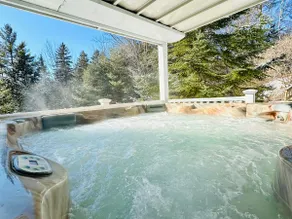 Relax & Recover Retreat | Hot Tub + Sauna + Gym - Image 4
