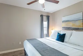 The Sable Flats 12 | Hermann Park, Medical Center! - Image 3