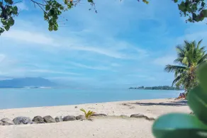 Mairenui Lodge – Tropical villa 200 m from the beaches - Image 5