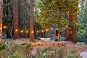 Cascade Dream - Image 4