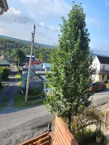 Mountainview - Image 4