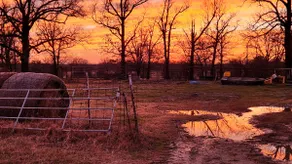 Country Cottage on the Farm - Image 4