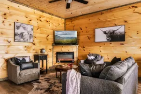 Brand New Sunset Cabin with Hot Tub! Amazing View! - Image 5