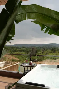 Vilde Farms - Luxury 5-BHK Villa in Jaipur - Image 3