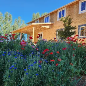 The Elevated Retreat - Image 4