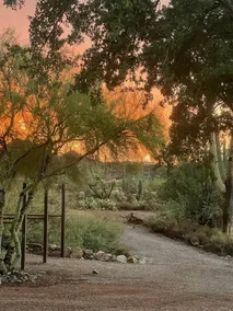 Casita Tridentata - Horse Sanctuary Stay - Image 4