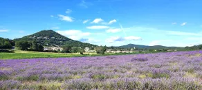 Lavender Garden, Complete Calm, Games Room, Spa - Image 4