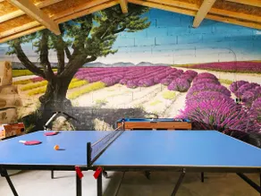 Lavender Garden, Complete Calm, Games Room, Spa - Image 5