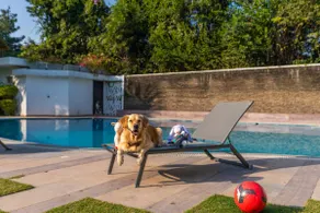 StayVista at The Manvi Estate - Gurugram With Pool - Image 3