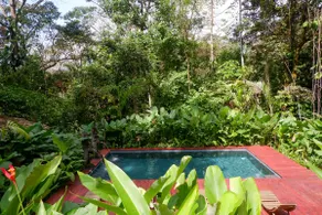 Los 4 Vientos Farm - Romantic Escape Lush Pool - Image 2