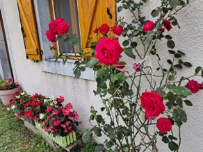 pretty house in Aure Valley, rated 4 **** - Image 4