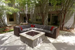 Modern Oasis by NASA | Family, Pet, & Corporate - Image 5